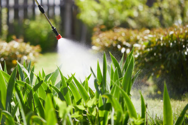 24/7 Emergency Termite Control experts in West Pittston, PA
