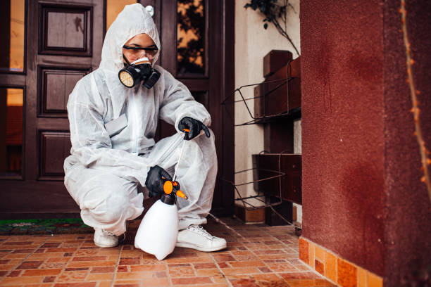 Reliable Termite Control contractor in West Pittston, PA by Nex Pest Control
