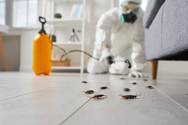 Trusted Termite Control service in West Pittston, PA - Nex Pest Control