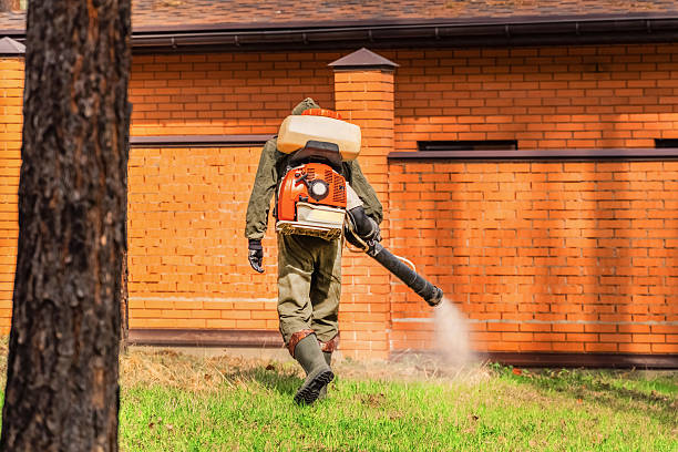 Trusted Bed Bug Control service in West Pittston, PA - Nex Pest Control